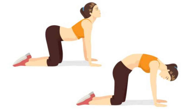 8 ejercicios para estirarse