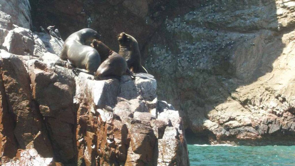 Islas Ballestas