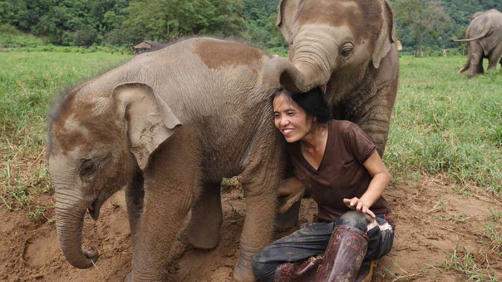 Disney celebrará el Día Mundial del Medio Ambiente con contenidio especial de National Geographic