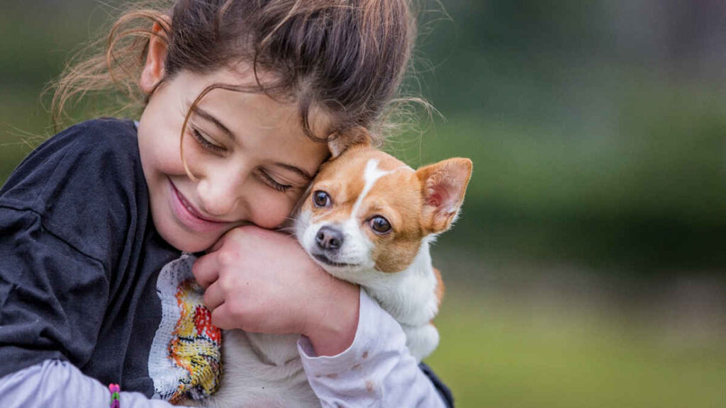 Día del Perro. Cuidando a los perros