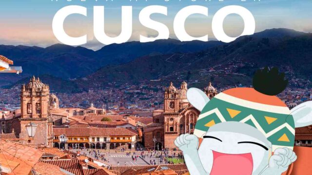 xiaomi cusco