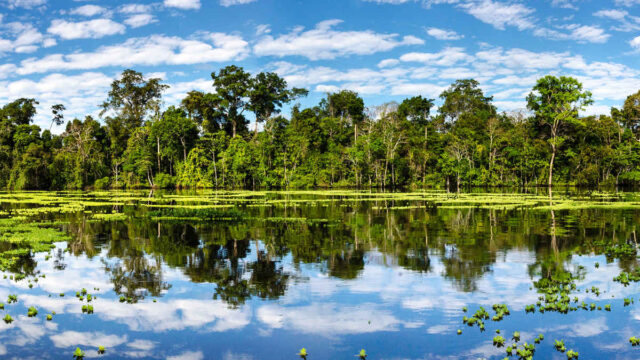 Día Mundial de los Parques Naturales: 5 áreas protegidas que poseen una biodiversidad única