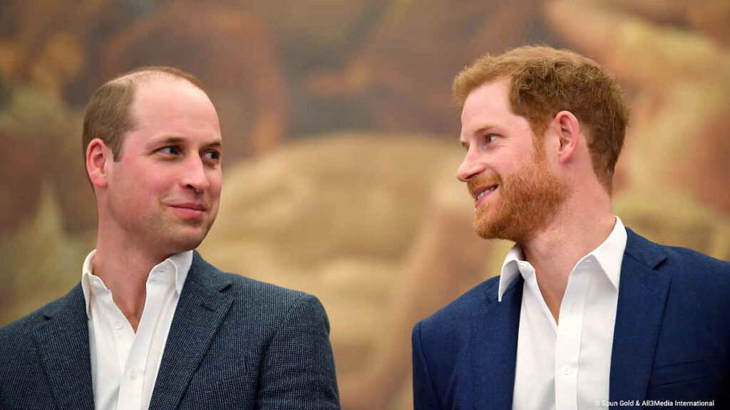 Harry and William: What Went Wrong