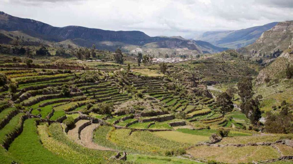 ruta encantada de los cóndores