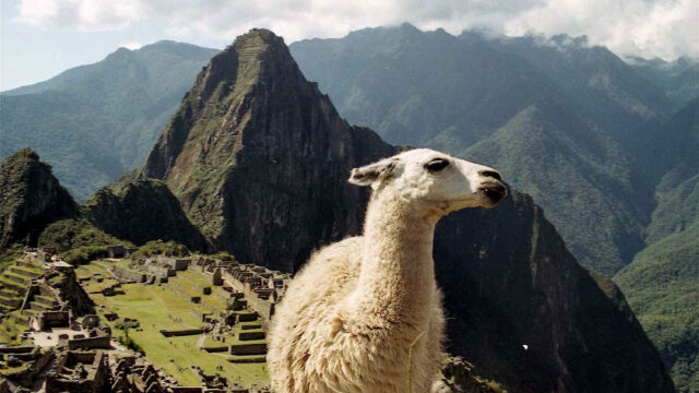 Cusco recupera 644 millones de dólares en turismo