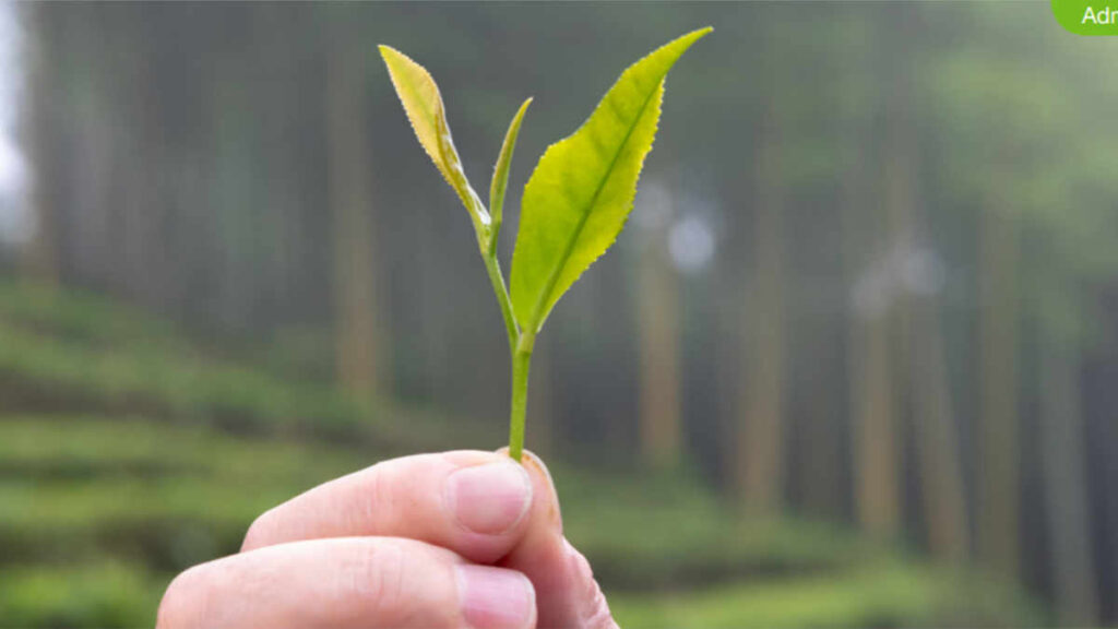 Herbalife Nutrition eliminó las bolsas de plástico en 14 mercados de América Latina