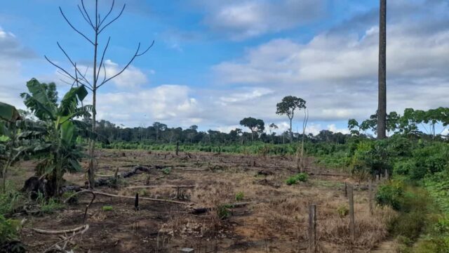 Perú: Cada vez es más letal defender la tierra, el territorio y el medioambiente