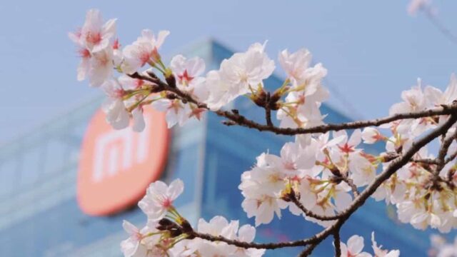 Canalys: Xiaomi se convierte en la marca #1 en envíos de smartphones en Perú