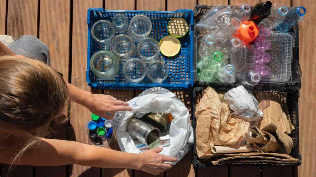 Aprende A Reciclar Correctamente En Casa – Enterados