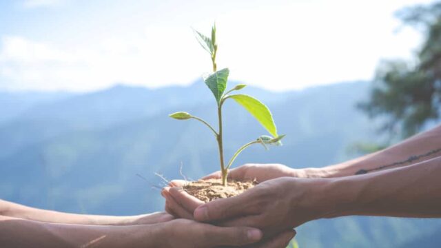 vivo adopta soluciones tecnológicas para alcanzar una Simbiosis Verde