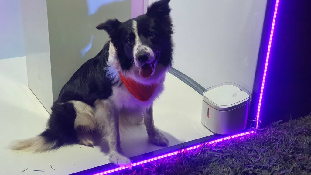 Conoce los nuevos productos inteligentes de Xiaomi para mascotas