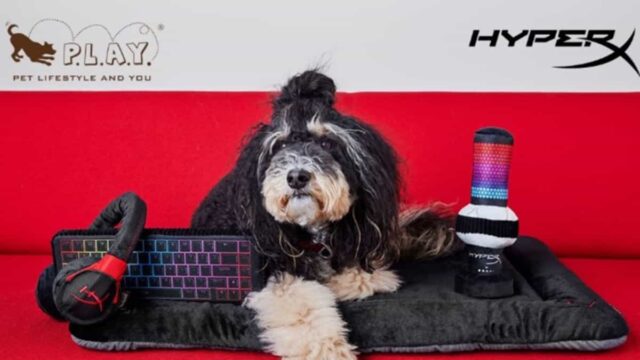 HyperX lanza edición limitada de juguetes para mascotas