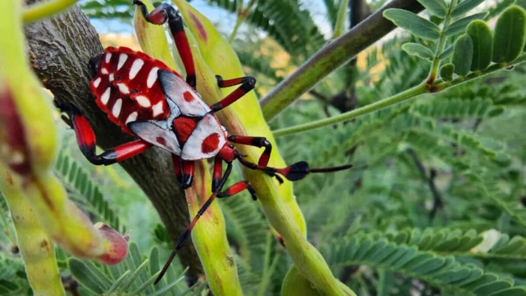 Naturaleza épica