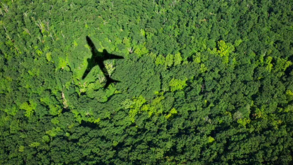 Latam es el grupo de aerolíneas más sostenible de Latinoamérica, revela Standard & Poor's