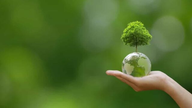 Cinco consejos de energía limpia para celebrar el Día de la Tierra