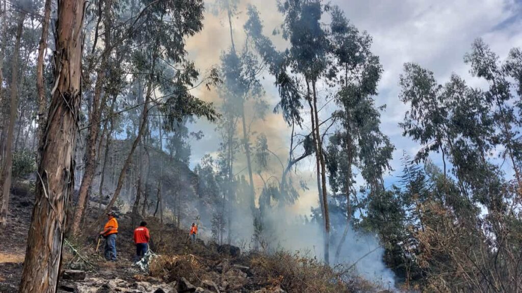 LATAM pone a disposición avión solidario ante incendios forestales