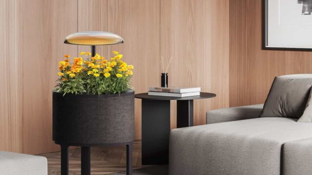 CES 2025: LG presenta su dispositivo de jardinería de interior