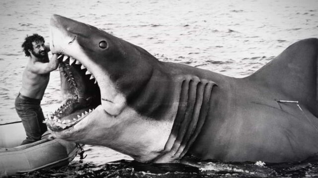 National Geographic celebra el 50° aniversario de Tiburón